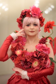DSC9860